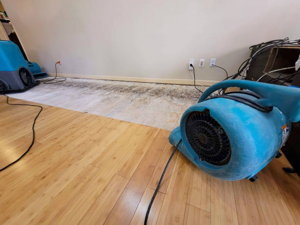Professional Water Extraction technician working in Chester, CA